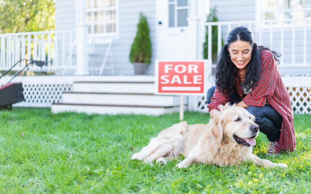 Tips for Dog Owners Listing Their Houses For Sale