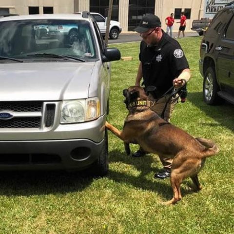 Trained Detection Dog Sales | Police Dog Sales | Sacramento, KY