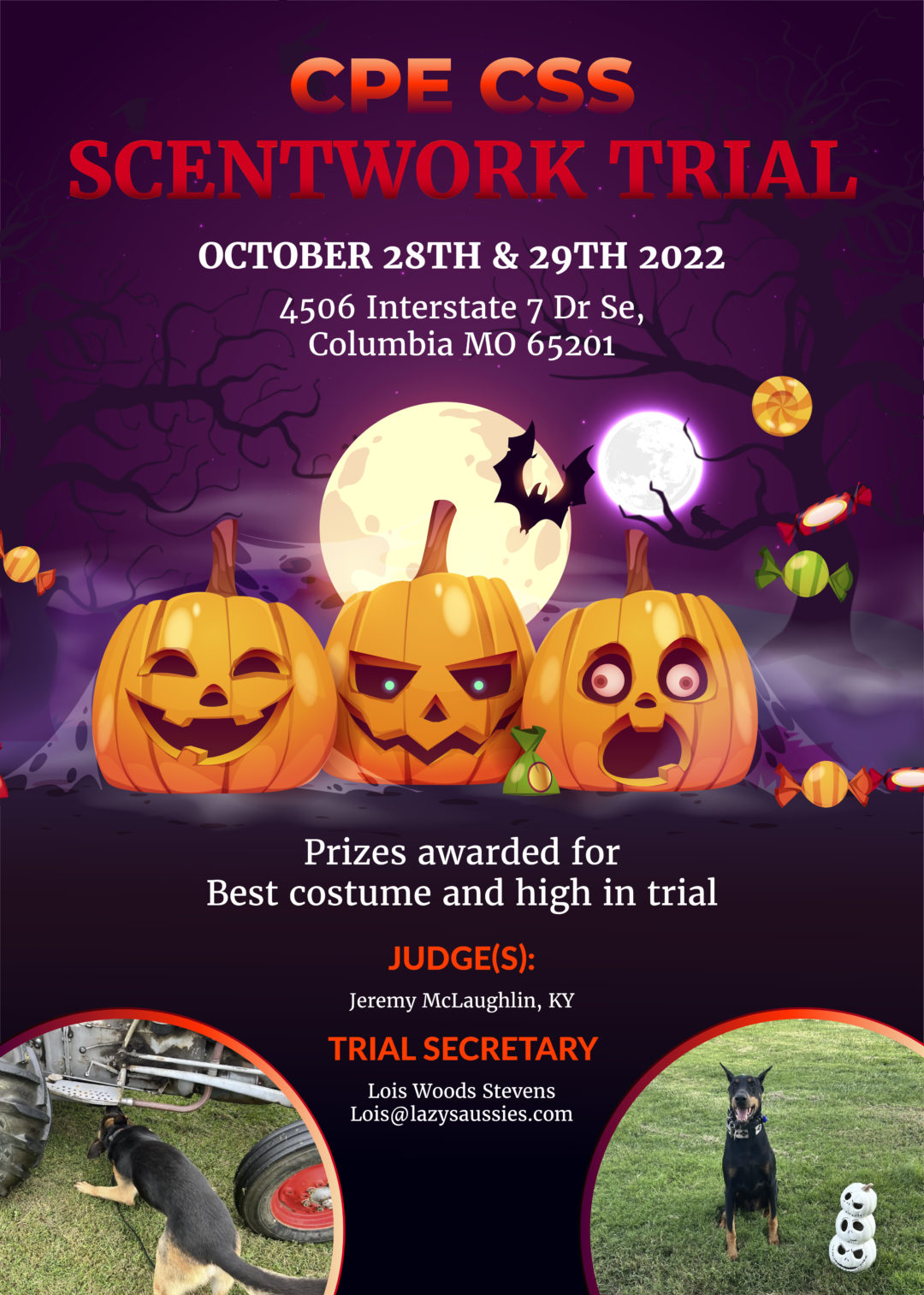 Dog Training Sacramento, Owensboro, Henderson, Madisonville