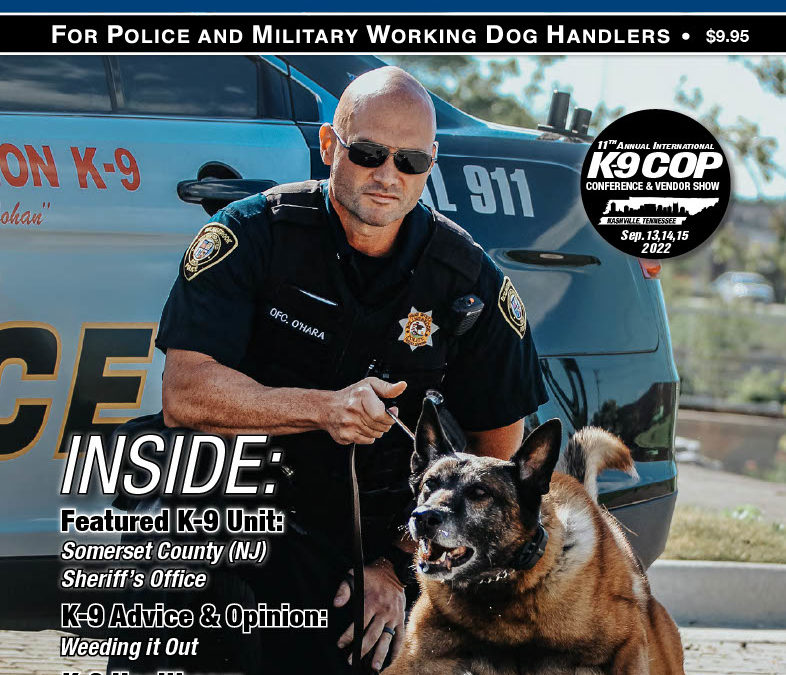 Top 3 Reasons K-9 Programs Should be Implemented in Jails and Prisons